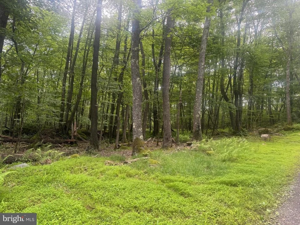 Photo of Lot 18 BUCK DRIVE
