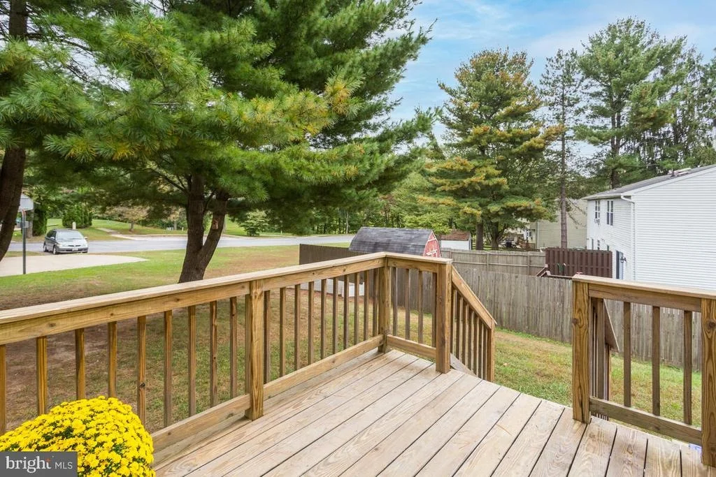Photo of 4350 SYCAMORE DRIVE