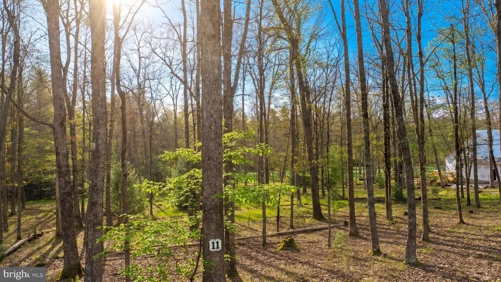 Photo of Lot 11 POLAND HEIGHTS LANE