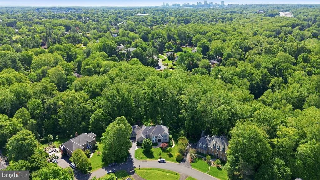 Photo of 9703 MILL RACE ESTATES DRIVE