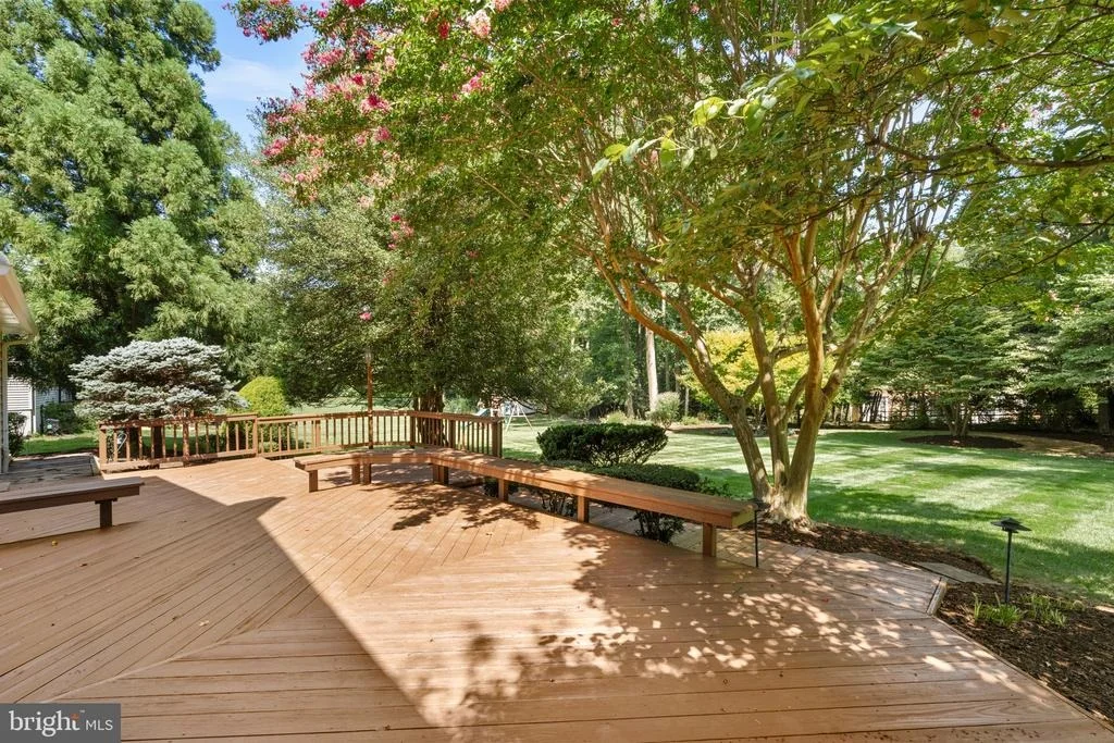 Photo of 3241 BETSY LANE