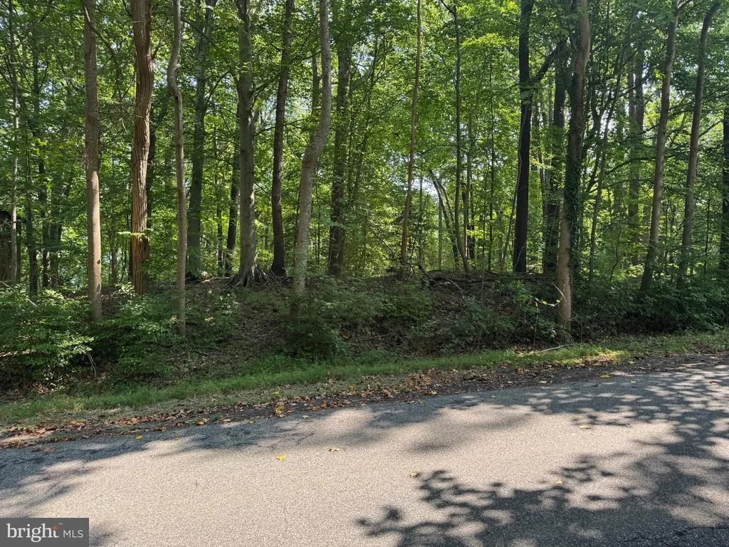 Photo of 4685 CAMP ROOSEVELT DRIVE