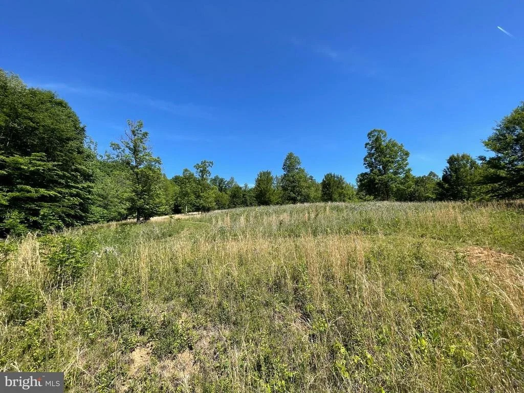 Photo of 1225 MIDDLE RIVER ROAD