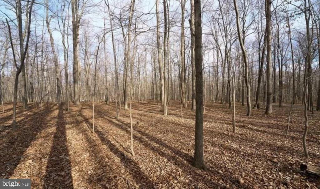 Photo of 2001 MOUNTAIN ROAD