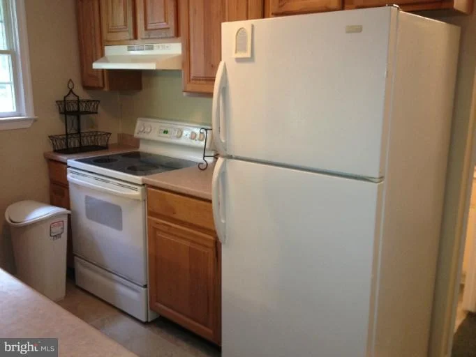 Photo of 337 CHESTNUT DRIVE