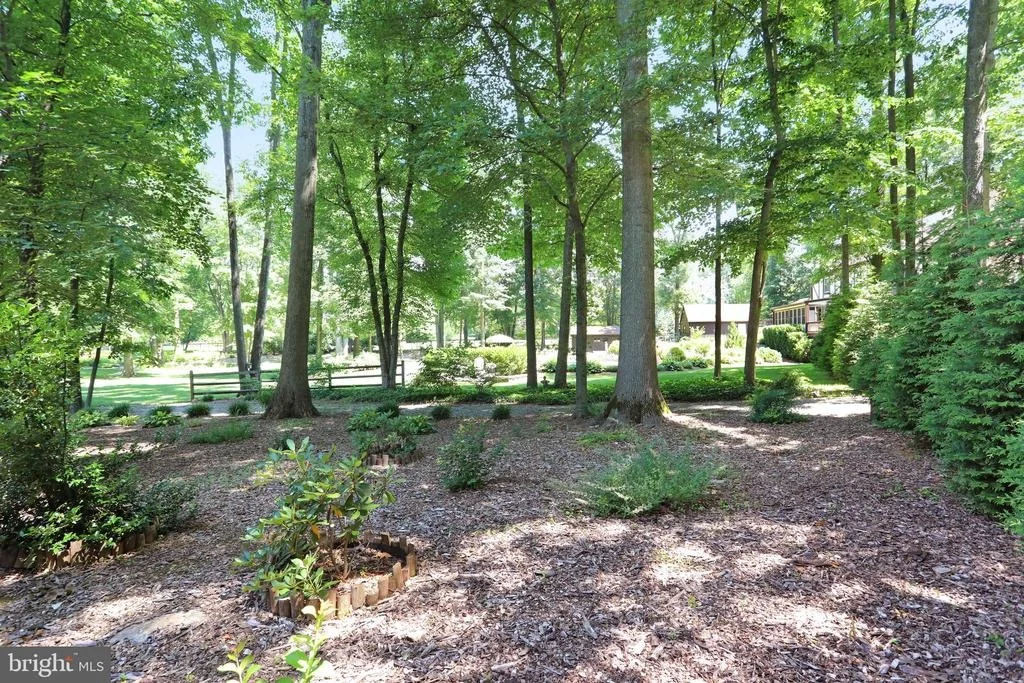Photo of 24930 DUNNAVANT DRIVE