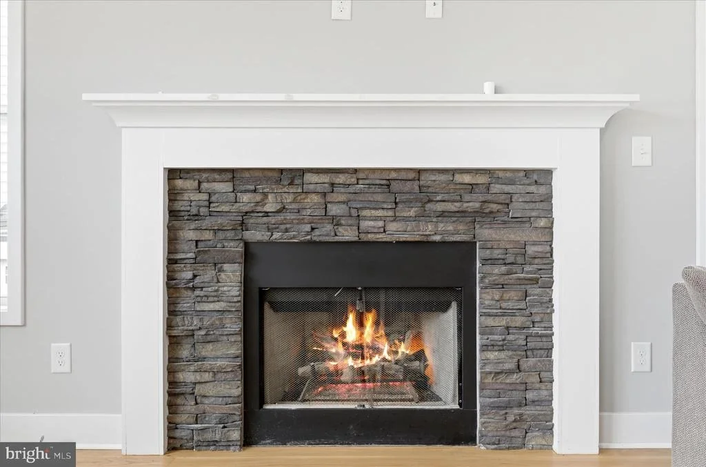 Photo of 347 MOON STONE DRIVE
