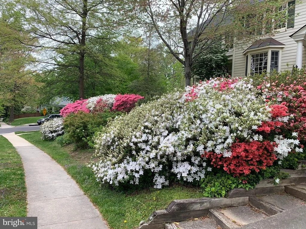 Photo of 6807 MEADOW LANE