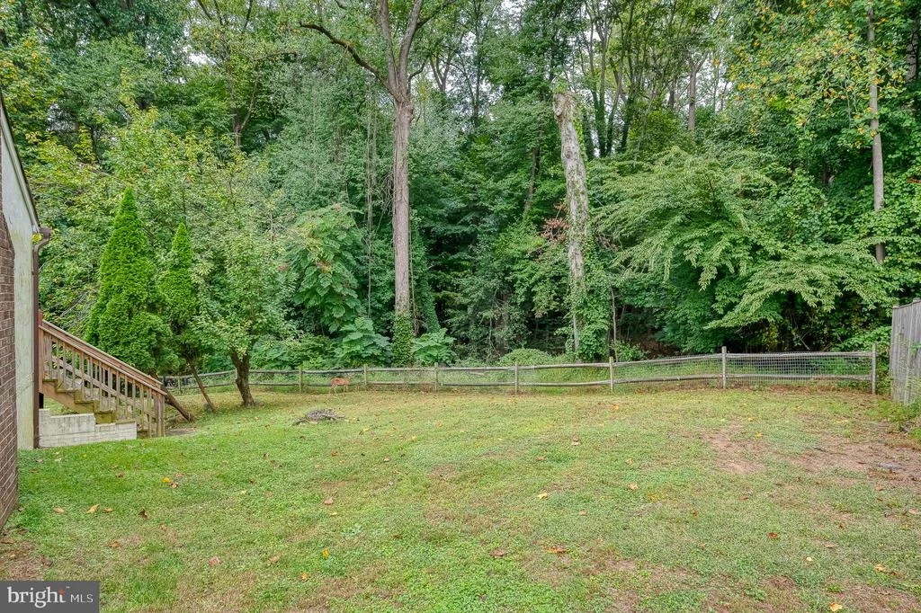 Photo of 12 JACOBO LANE