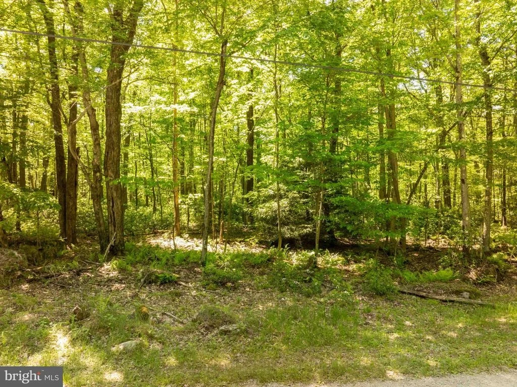 Photo of 6 CEDAR LANE