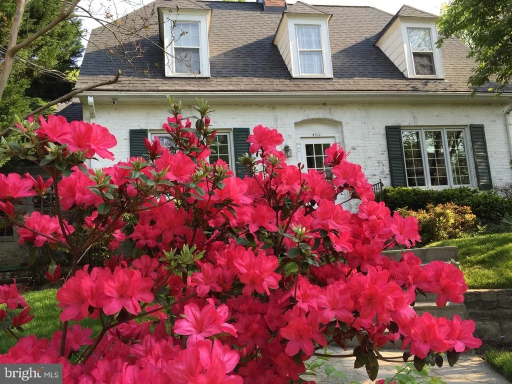 Photo of 4711 LANGDRUM LANE