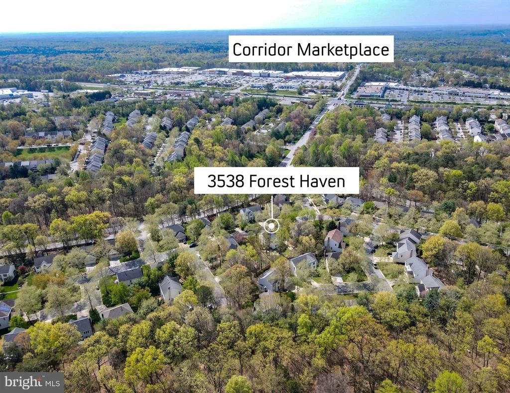 Photo of 3538 FOREST HAVEN DRIVE