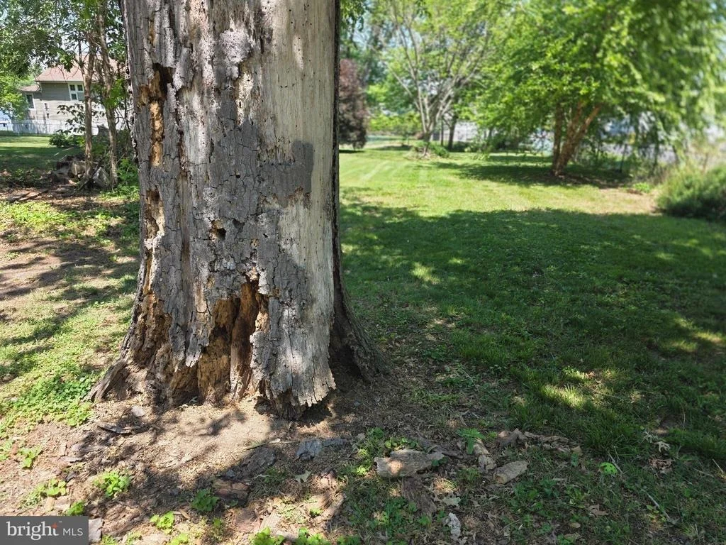 Photo of 145 EDGEWATER DRIVE