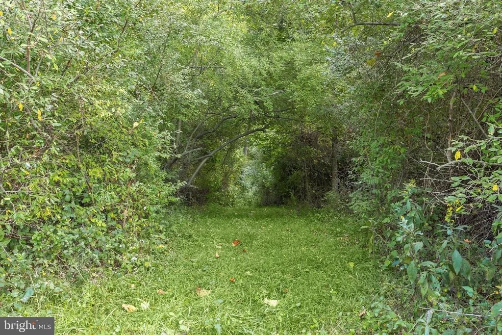 Photo of 11284 BIG POOL ROAD