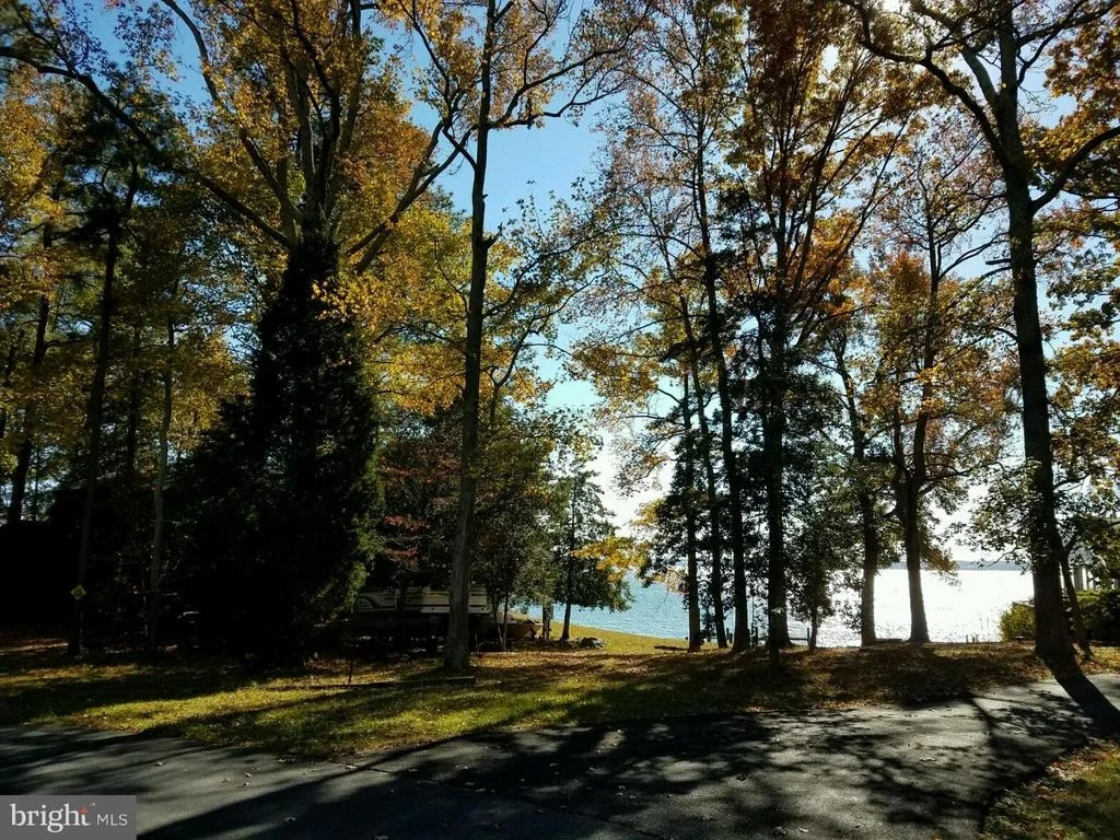 Photo of 13158 RIVER VIEW DRIVE