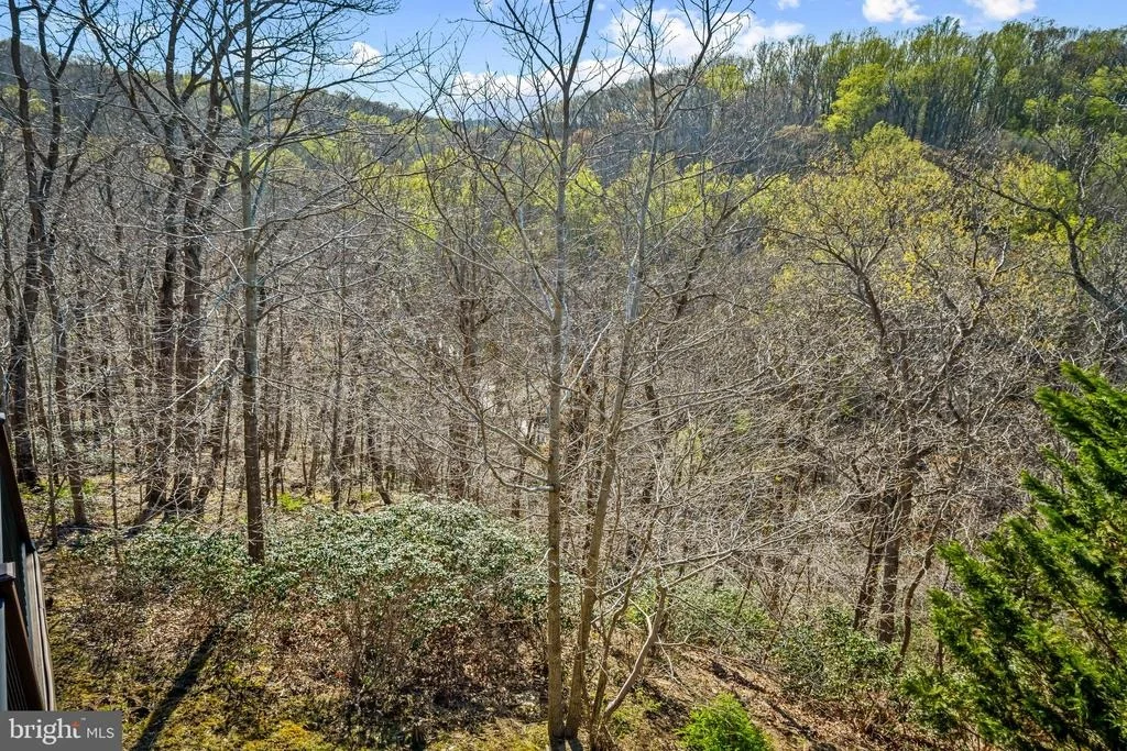 Photo of 13040 JEROME JAY DRIVE