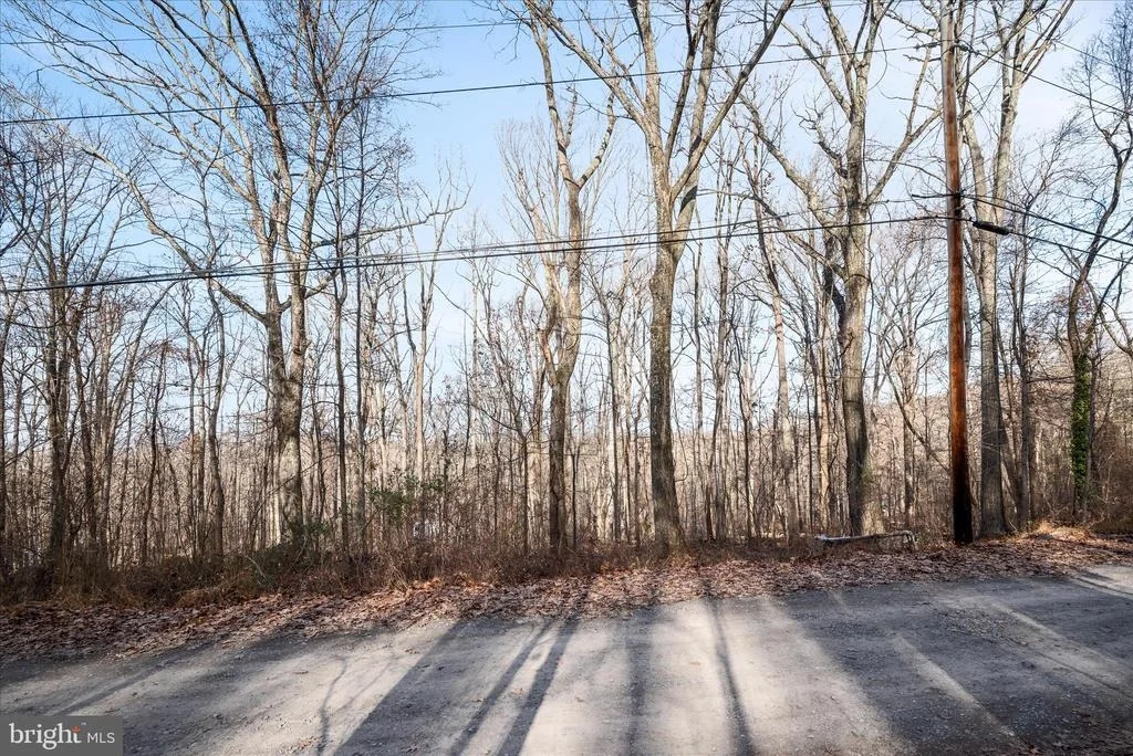 Photo of Lots 115, 116, 210 RED MAPLE LANE