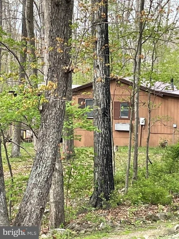 Photo of 462 TROUT STREAM ROAD