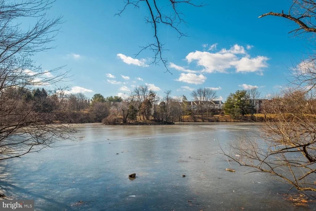 Photo of Unit 201 at 18302 STREAMSIDE DRIVE
