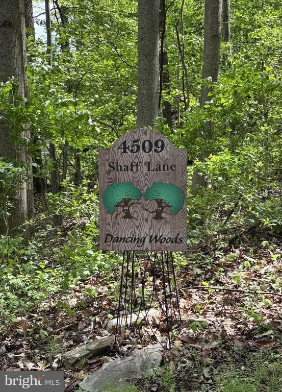 Photo of 4509 SHAFF LANE
