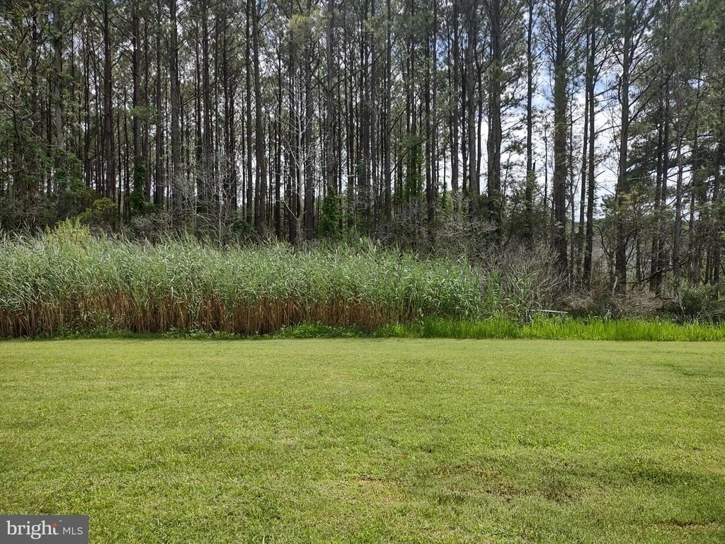 Photo of 3175 BOONE ROAD
