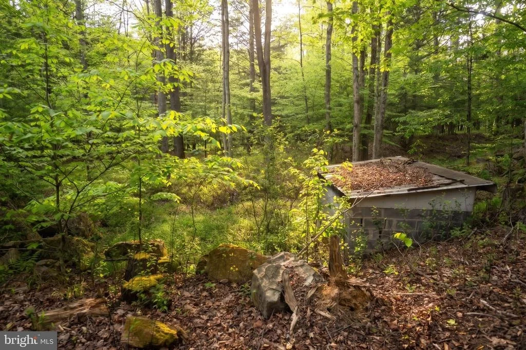 Photo of 1099 TABLE ROCK ROAD