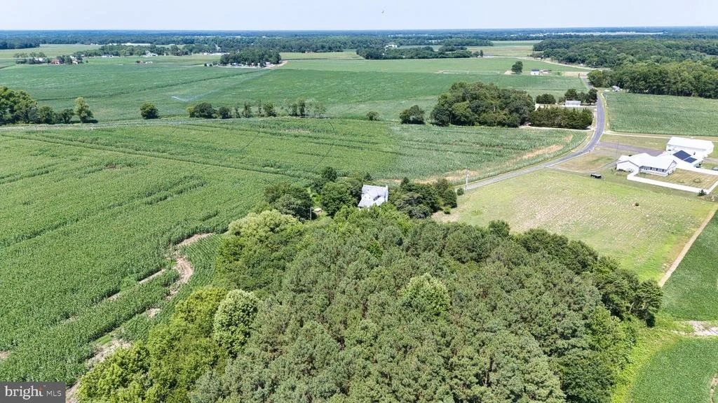 Photo of 3642 BLUE BIRD LANE