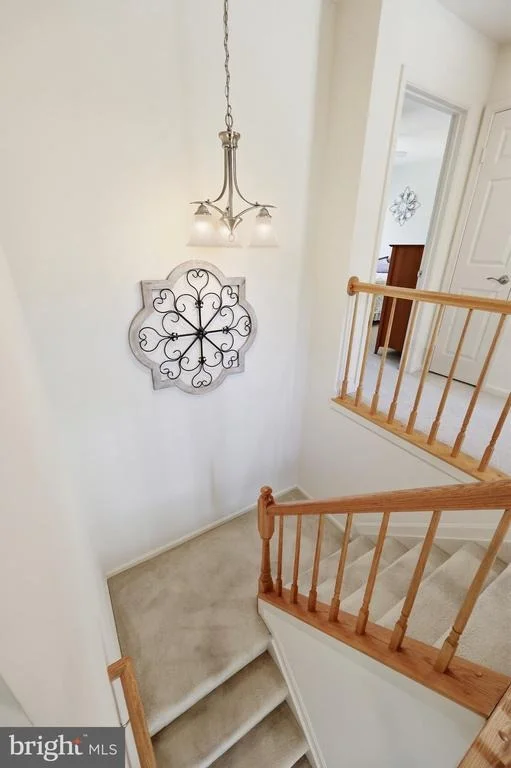 Photo of 1019 CHINABERRY DRIVE
