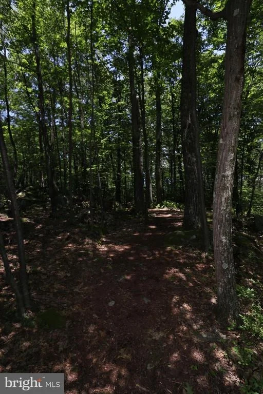 Photo of 73 WESTWARD WAY