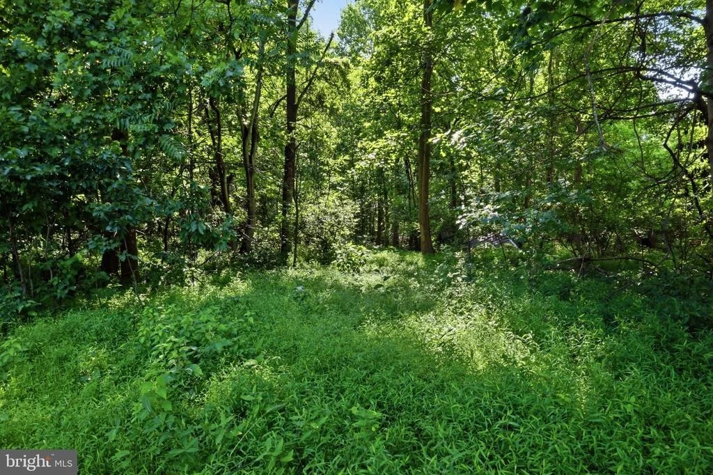 Photo of 13729 MARTIN ROAD