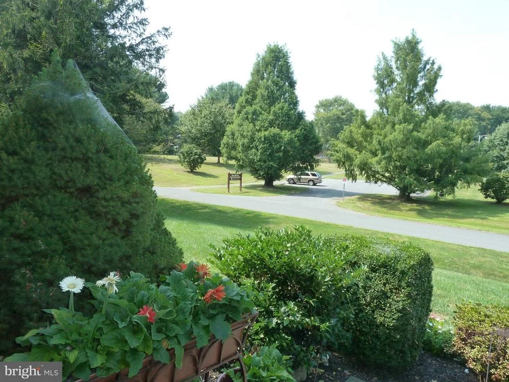 Photo of 19605 CHARLINE MANOR ROAD