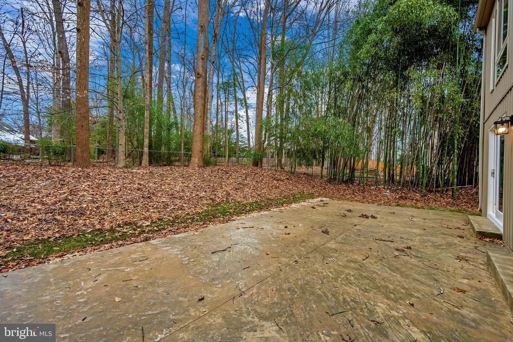 Photo of 10402 GREAT ARBOR DRIVE