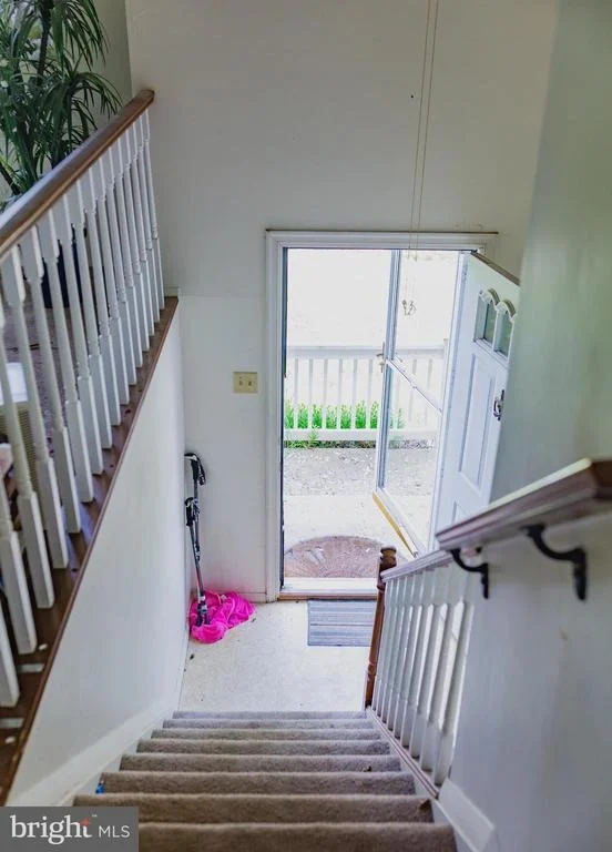Photo of 2471 RED FALL COURT
