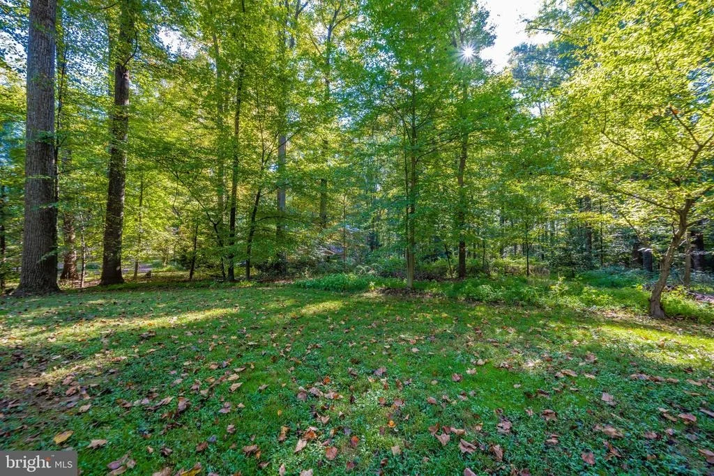 Photo of 18605 BROOKE ROAD