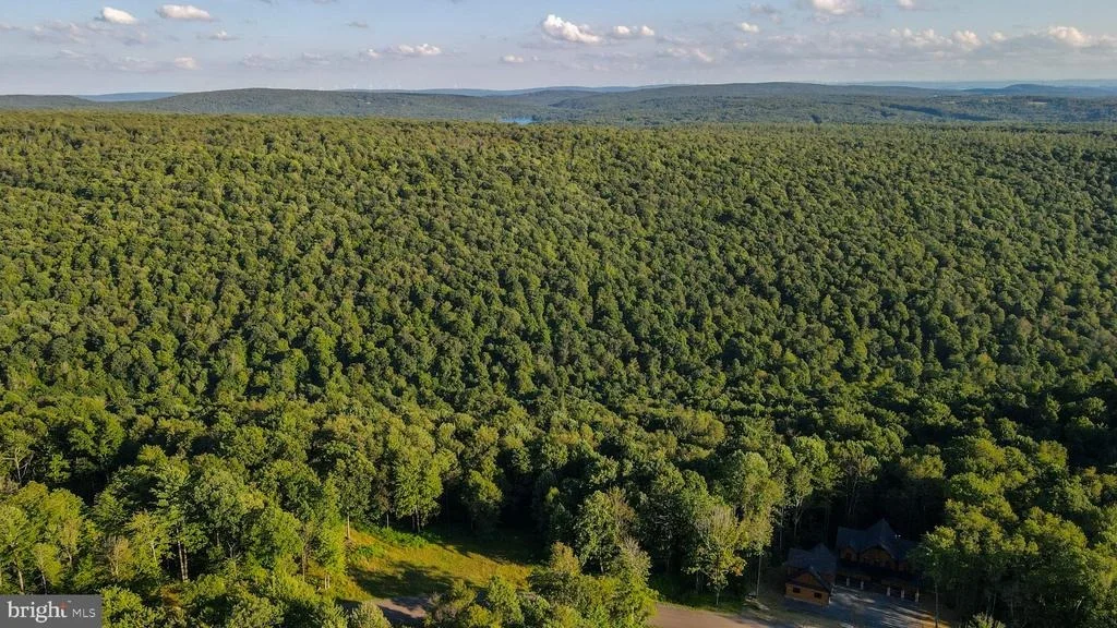 Photo of Lot 168 FORK RUN TRAIL