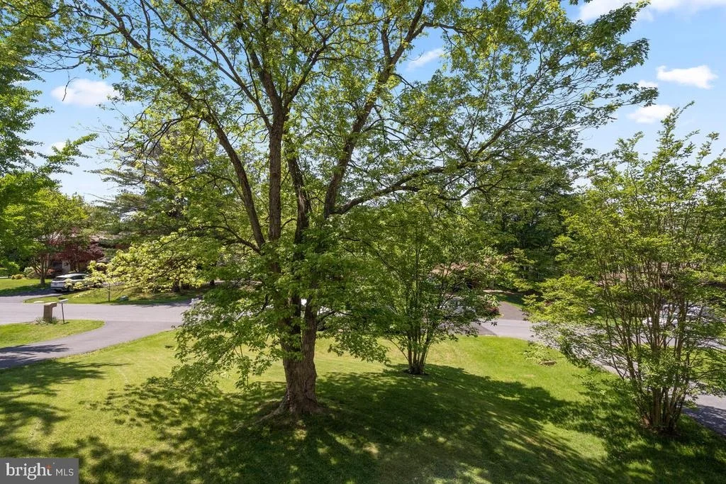 Photo of 18709 CONSIDINE DRIVE