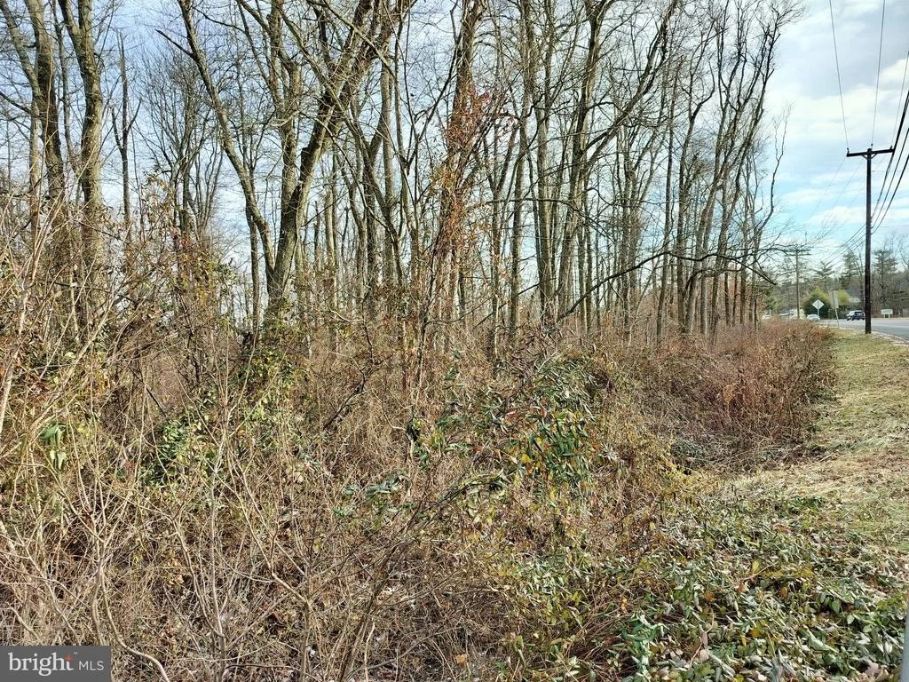 Photo of 147 ROCKTOWN ROAD