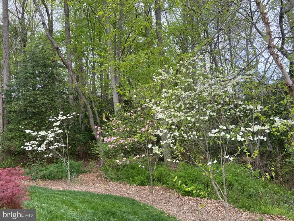 Photo of 7736 HUNTSMAN BOULEVARD