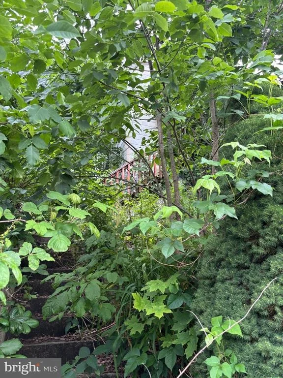 Photo of 13 DUDLEY STREET