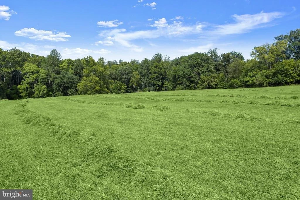 Photo of 11284 BIG POOL ROAD