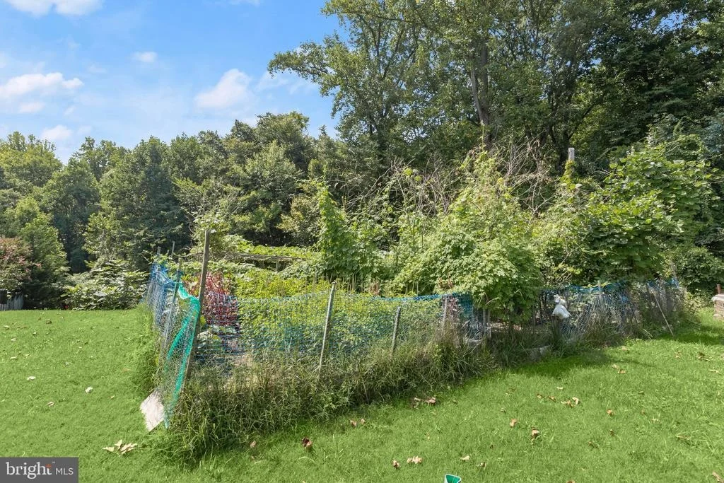 Photo of 6354 FOREST AVENUE