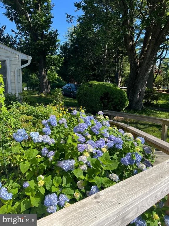 Photo of 3479 SAVANNAH DRIVE