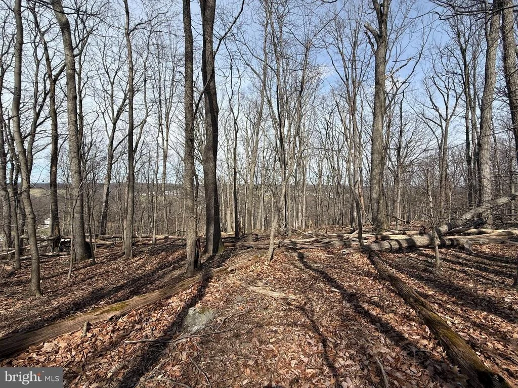 Photo of 2849 MANCHESTER ROAD