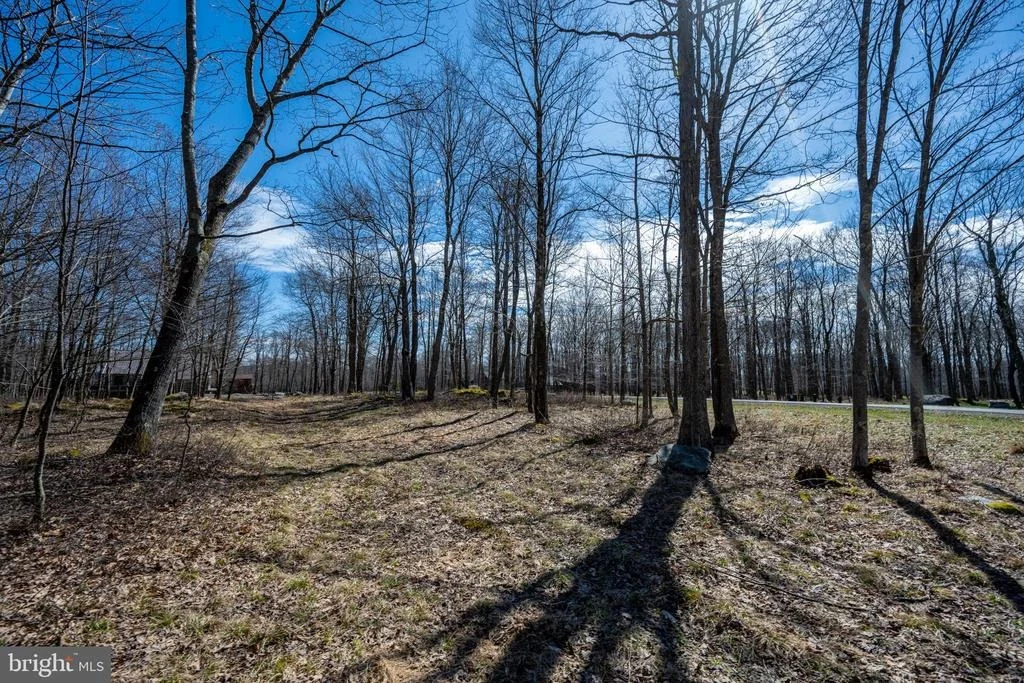 Photo of 36 FERN LOOP