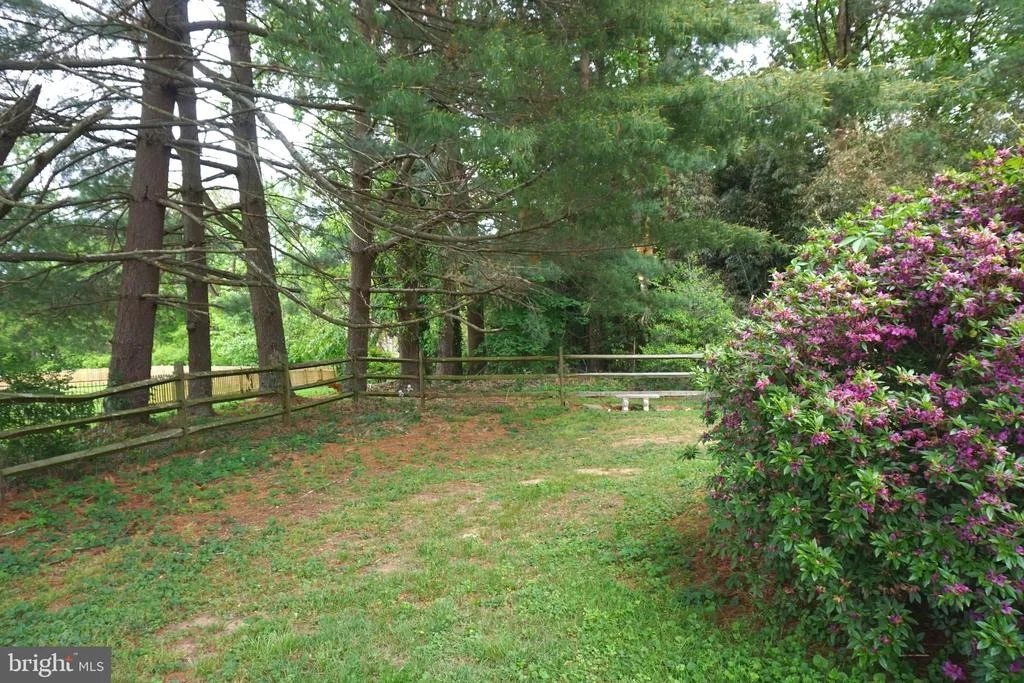 Photo of 1304 CHEZ COURT