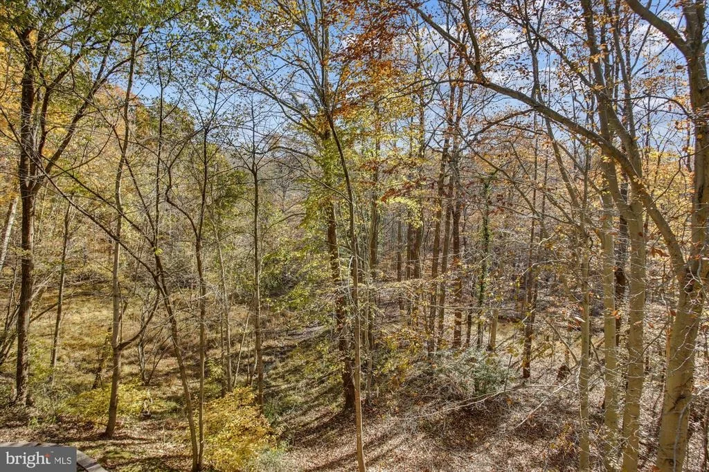Photo of 7321 WALNUT KNOLL DRIVE