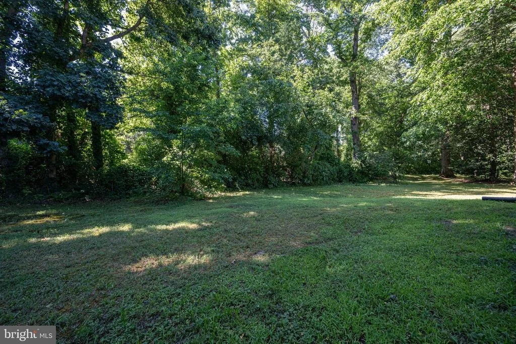 Photo of 24 MERION COURT