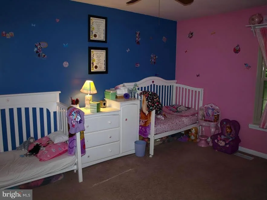Photo of 4236 BIRCH DRIVE