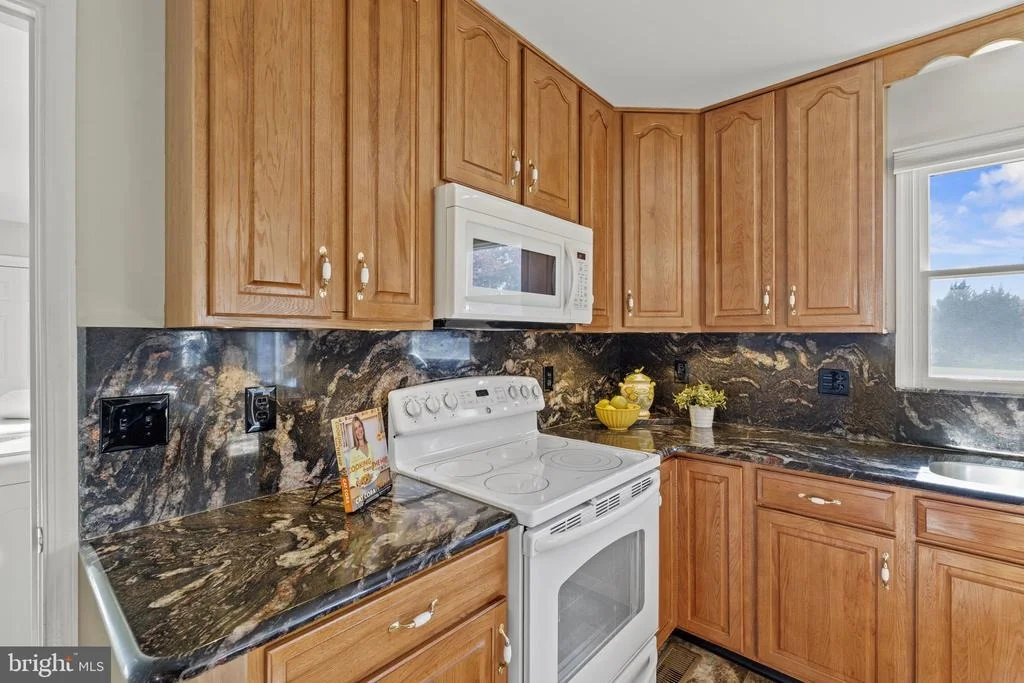 Photo of 313 CONE BRANCH DRIVE