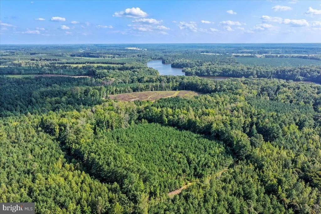 Photo of Lot 7 & 8 COUNTY POND ROAD
